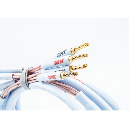 HiFi cable de Altavoz de muy Alta fidelidad XL Annorum
