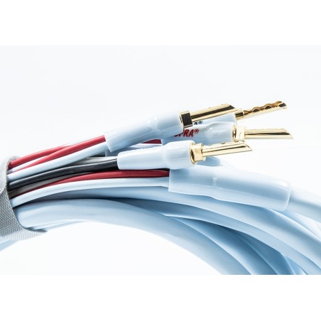 Hifi cable de altavoz Rondo 4x2.5 Combicon