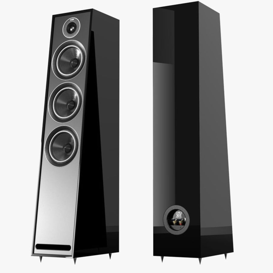 Oferta Acoustic Energy 305 Altavoz de suelo Oferta Acoustic Energy 305 Altavoz de suelo